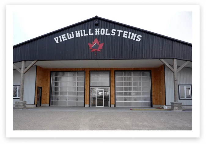 commercial-doors A black and gray barn labeled View Hill Holsteins, featuring a red maple leaf logo above large garage doors by a trusted garage door company, with a gravel driveway in front.